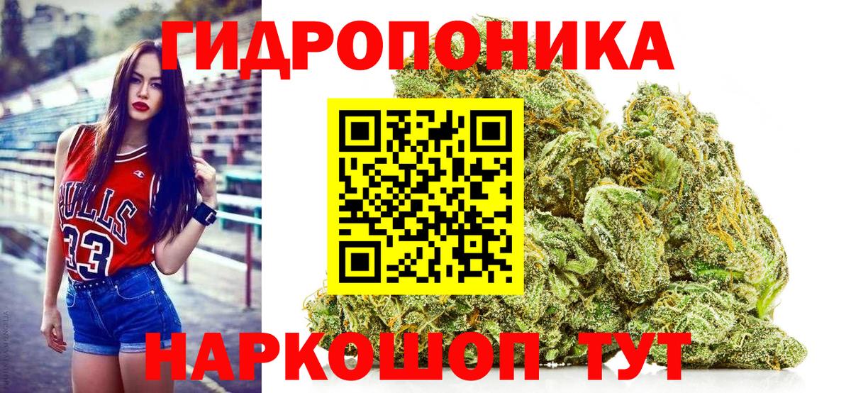 Бошки Шишки тримм  Марихуана White Widow  Вход с VPN  Краснокаменск  Бошки Шишки Bruce Banner  Каннабис SATIVA & INDICA 